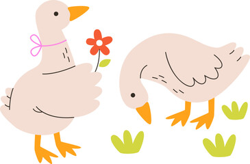 Birthday Geese Couple With Flower
