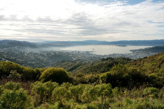 Aerial view over wellington on a fogy day