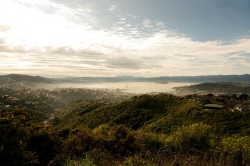 Aerial view over wellington on a fogy day