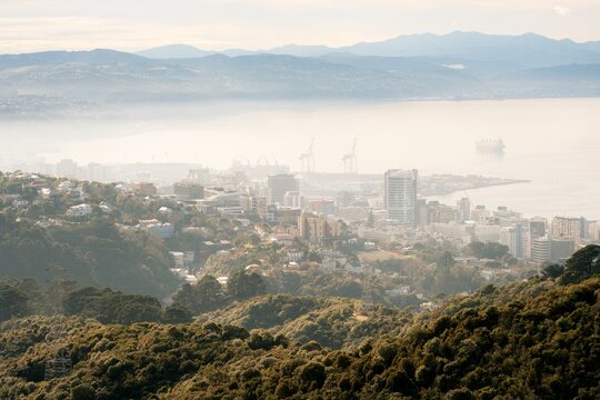 Aerial view over wellington on a fogy day