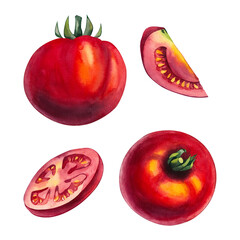 Watercolor tomato set. Hand drawn tomato slice, wedge, piece isolated. Watercolor tomato plant for food design, textile, fabric, menu, restaurant and others. Tomato vegetable.