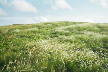 A green field of grass with a clear blue sky in the background