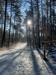 Misty path through the snowy forest with the sun peeking through the trees - Chemin brumeux dans la for&ecirc;t enneig&eacute;e avec le soleil qui passe &agrave; travers les arbres