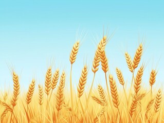 Golden Wheat Field Under Clear Blue Sky