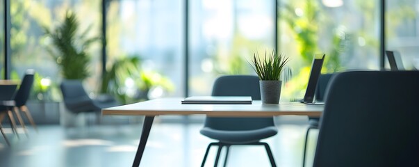 Modern Office Desk with Plant and Laptop