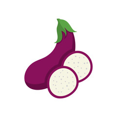 Eggplant logo vector icon illustration