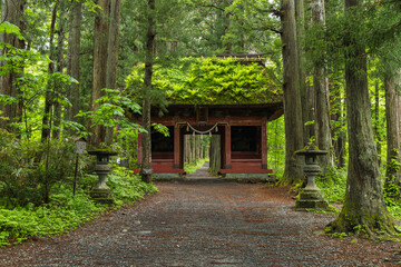 日本　長野県長野市にある戸隠神社の奥社参道と随神門