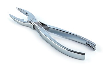 Obraz premium Ortho Cutter isolated on white background. 3D rendering.