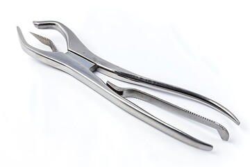 Obraz premium Ortho Cutter isolated on white background.