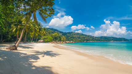 Obraz premium Tropical sea beach scene with clear turquoise water, white sandy shore and palm trees under a bright blue sky on a sunny day