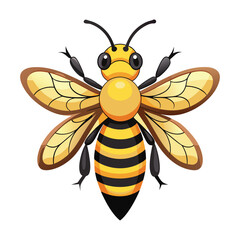 beautiful bee illustration on white background