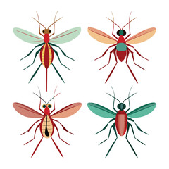 vector beautiful mosquito illustration on white background