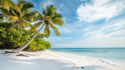Tropical sea beach scene with clear turquoise water, white sandy shore and palm trees under a bright blue sky on a sunny day