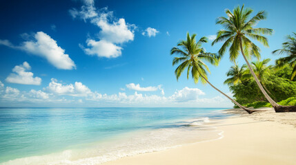 Tropical sea beach scene with clear turquoise water, white sandy shore and palm trees under a bright blue sky on a sunny day