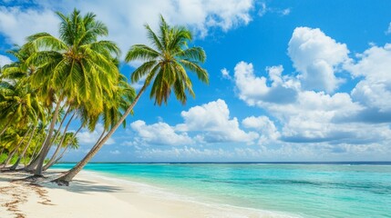 Tropical sea beach scene with clear turquoise water, white sandy shore and palm trees under a bright blue sky on a sunny day