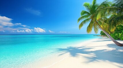 Fototapeta premium Tropical sea beach scene with clear turquoise water, white sandy shore and palm trees under a bright blue sky on a sunny day