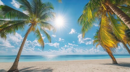 Tropical sun shining brightly over a palm-lined beach, warm weather, summer vibes