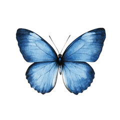 Fototapeta premium Blue Butterfly , Digital Art. Isolated on a Transparent Background. Cutout PNG.
