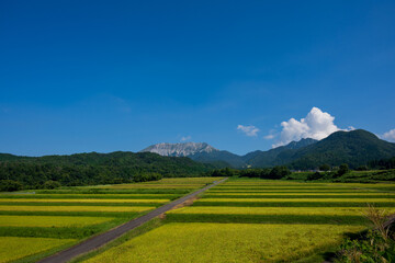日本の鳥取県の美しい晩夏の大山