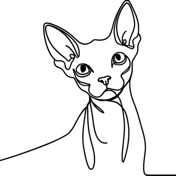 recommend clip art: Sphynx Cat Line Art