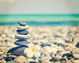 Zen balanced stones stack with plumeria flower