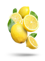Fresh juicy lemons and green leaves falling on white background