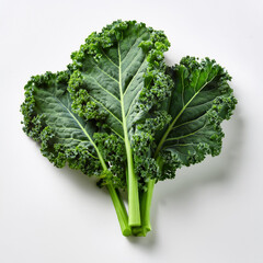 fresh kale isolated on white background. leaf cabbage. Brassica oleracea.