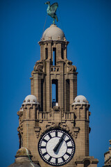 Liver Building
