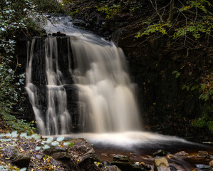 waterfall in the woods