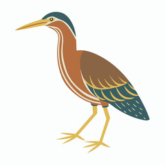 vector Bittern on white background