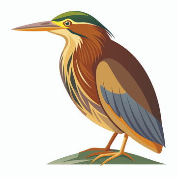 Heron clip art preview
