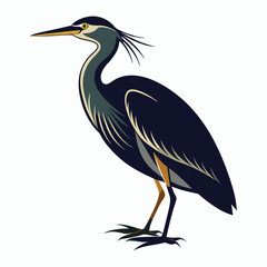 Obraz premium vector Bittern on white background