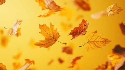 A vibrant display of falling autumn leaves against a warm yellow background.