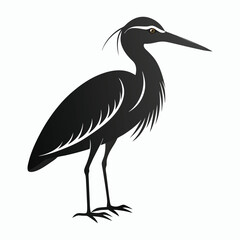 vector Bittern on white background
