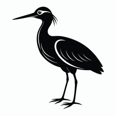 Obraz premium vector Bittern on white background