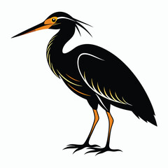 Fototapeta premium vector Bittern on white background