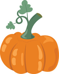 Vector pumpkin illustration set isolated on white