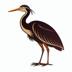 vector Bittern on white background