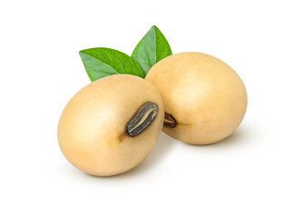 Soy bean on white, macro