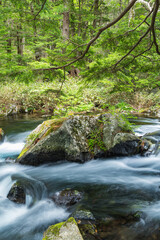 日本　長野県松本市安曇にある山岳景勝地の上高地　穂高神社奥宮神域の明神池の二之池から流れ出す渓流