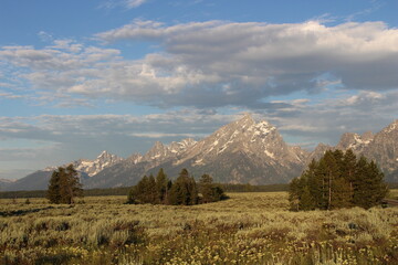 Fototapeta premium Grand Tetons