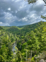 stream in the mountains 