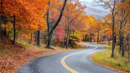 Autumn on Skyline Drive in the Shenandoah National Park