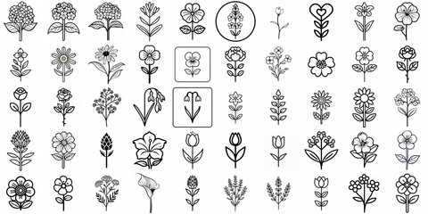 This assortment of floral icons showcases numerous unique flower designs, ideal for enhancing artistic and decorative projects across different mediums, set, white background