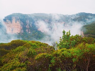 Misty View of Cliffs and Bushland