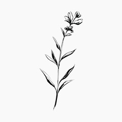 rawpixeloffice21_stroke_outline_of_simple_lavender_flower_in_st_ef5f15d3-c6a9-4798-ad0a-0333cb7a28e6-01-p