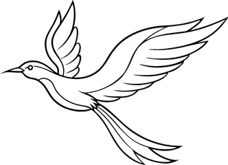 Elegant Line Art of a Bird in Flight with Detailed Wings and Feathers