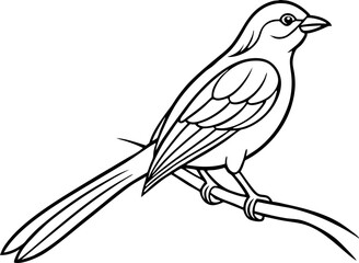 Detailed Line Drawing of a Bird Perched on a Branch Illustration