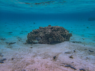 Rarotonga (August 2024).