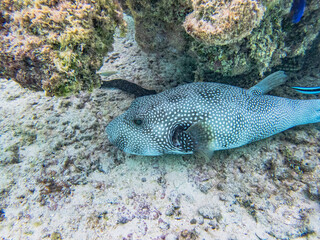 Rarotonga (August 2024).